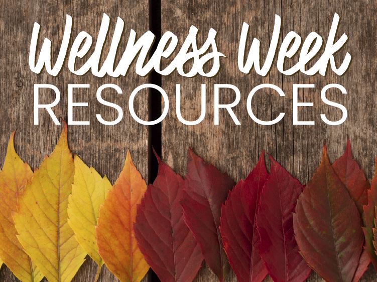  wellness